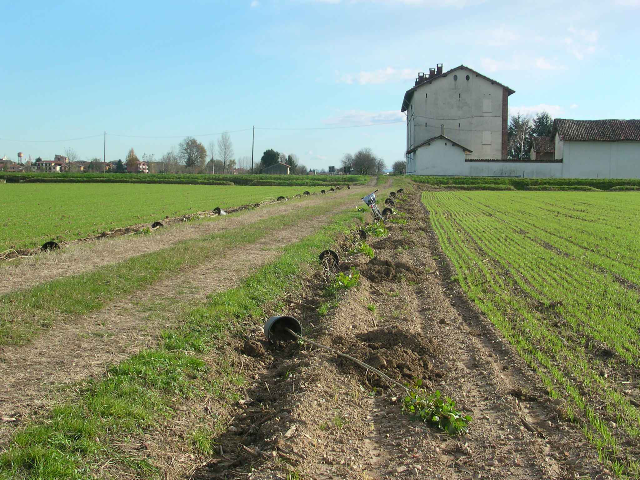 cascina lema